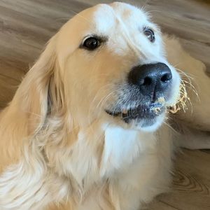 Meet your Posher, Danika